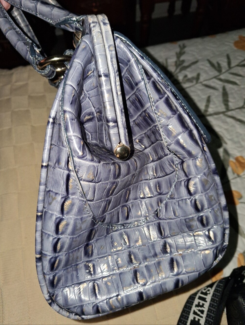 Brahmin - Picture 8 of 8